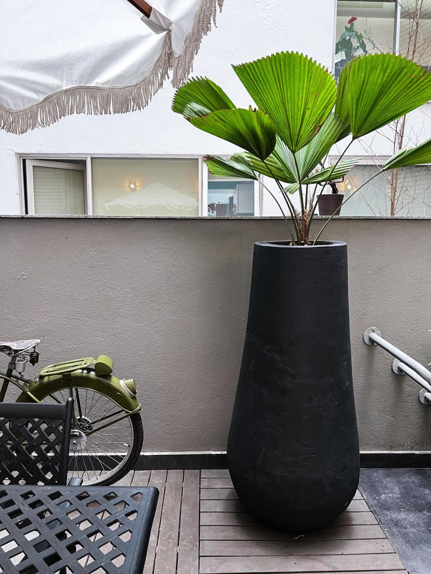 Central Park Condesa مدينة مكسيكو المظهر الخارجي الصورة